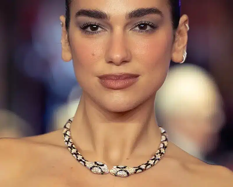 Dua Lipa on Instagram: Follower Count, Growth Rate and Engagement Dua Lipa on Instagram: Follower Count, Growth Rate and Engagement