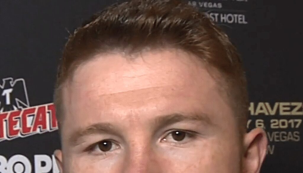 Canelo Alvarez - Net Worth 2026