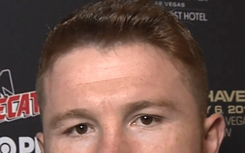 Canelo Alvarez Net Worth 2026: Per-Fight Payouts & The Boxing Revenue Model