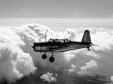 Valiant Age