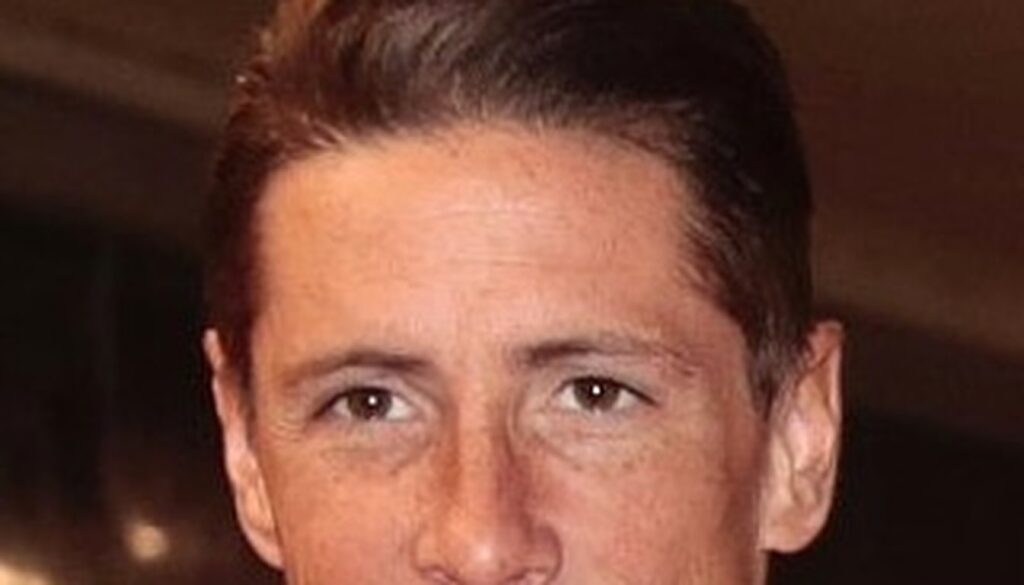 Fernando Torres - Net Worth 2026