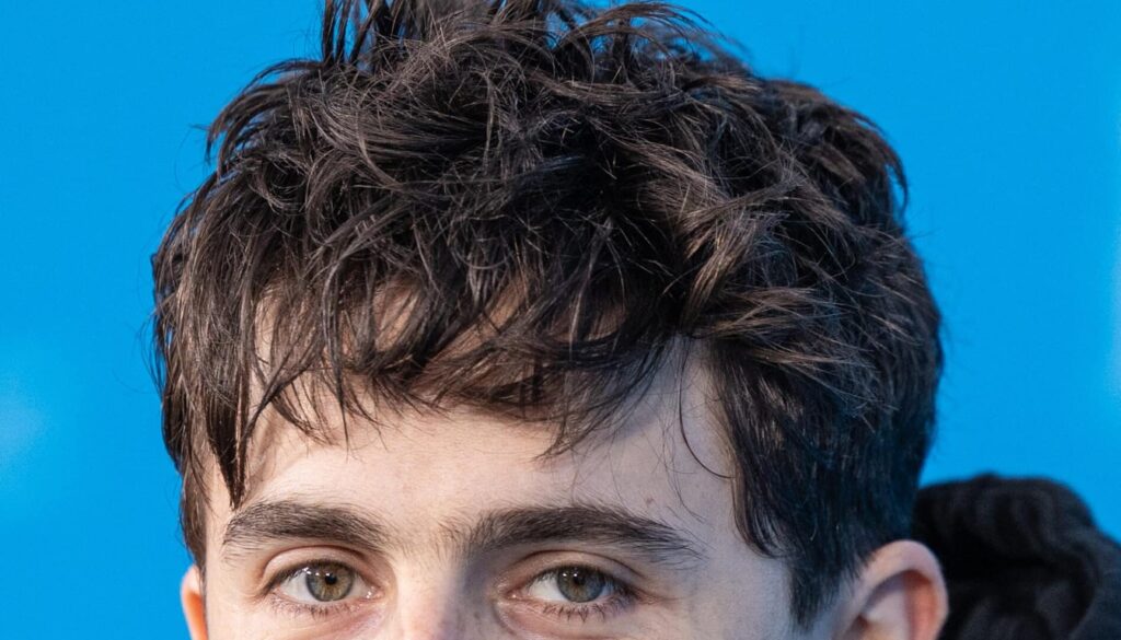 Timothée Chalamet - Net Worth 2026