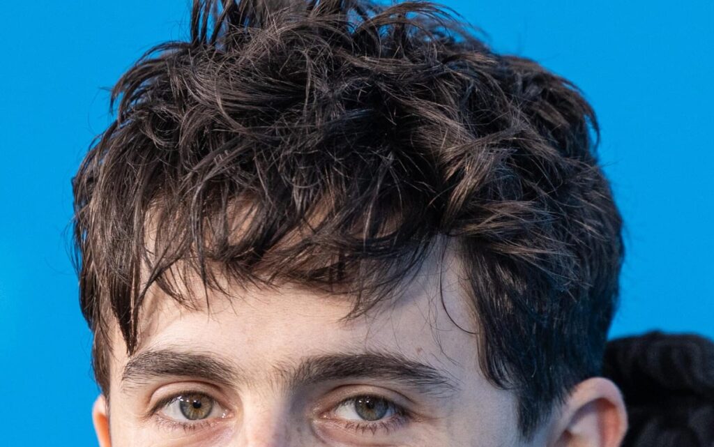 Timothée Chalamet Net Worth 2026: The $45M No-Franchise Career Strategy