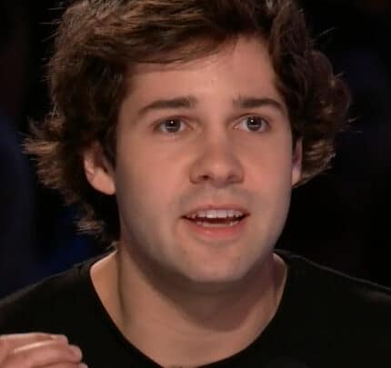 Inside the David Dobrik Lawsuit: What Really Happened