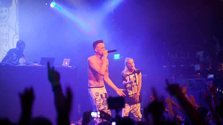 Die Antwoord Net Worth: How the Rap Duo Built Their Fortune