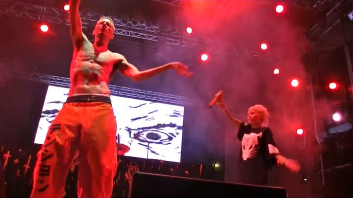Die Antwoord Net Worth: How the Rap Duo Built Their Fortune