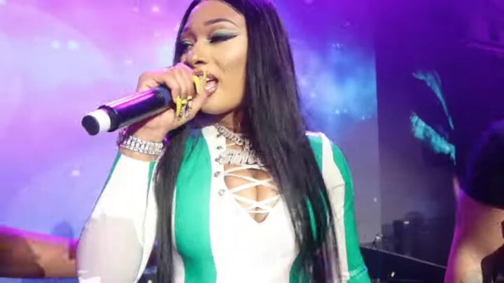 Doja Cat vs Megan Thee Stallion Business Ventures and Equity 2026: Startups, Investments & Ownership Stakes Compared