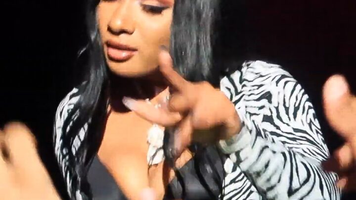 Doja Cat vs Megan Thee Stallion Financial Legacy Analysis 2026: Generational Wealth & Long-Term Financial Impact