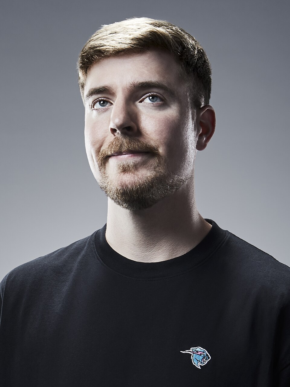 MrBeast 2026 Financial Profile