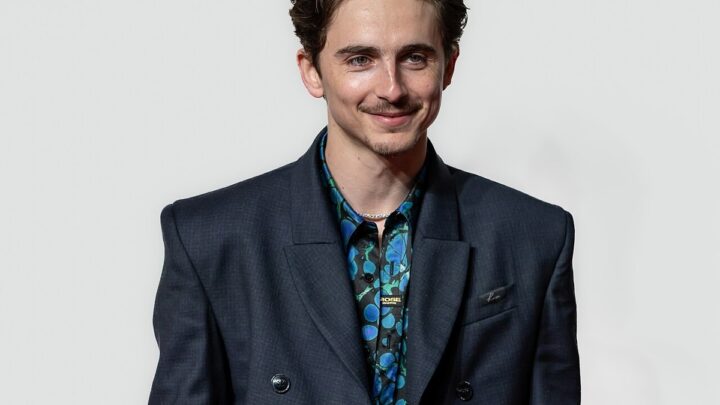 Zendaya vs Timothée Chalamet Residuals vs Upfront Pay 2026: Passive Income vs Active Earnings Breakdown