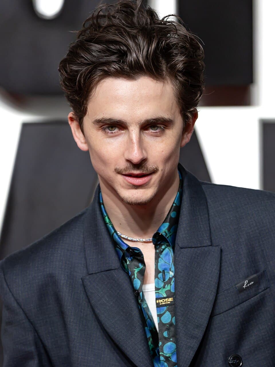 Timothée Chalamet 2026 Financial Profile