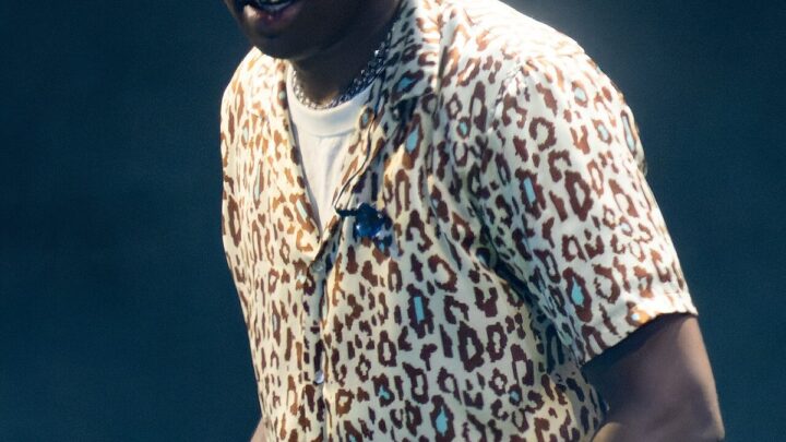 Steve Lacy vs Tyler The Creator Asset and Real Estate Portfolio 2026: Properties, Homes & Luxury Assets Compared