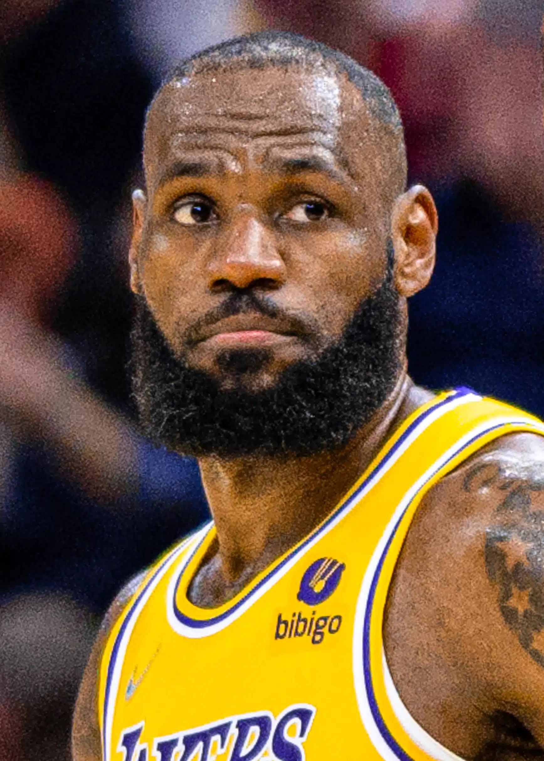 LeBron James -  Net Worth 038 Car Collection  LeBron Ja
