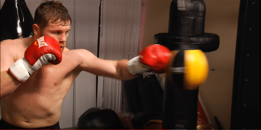 Canelo Alvarez - How Canelo Alvarez Career Journey Compar