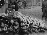 Corpse - Public domain