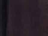 Most Influential Celebrities 2026 - Public domain
