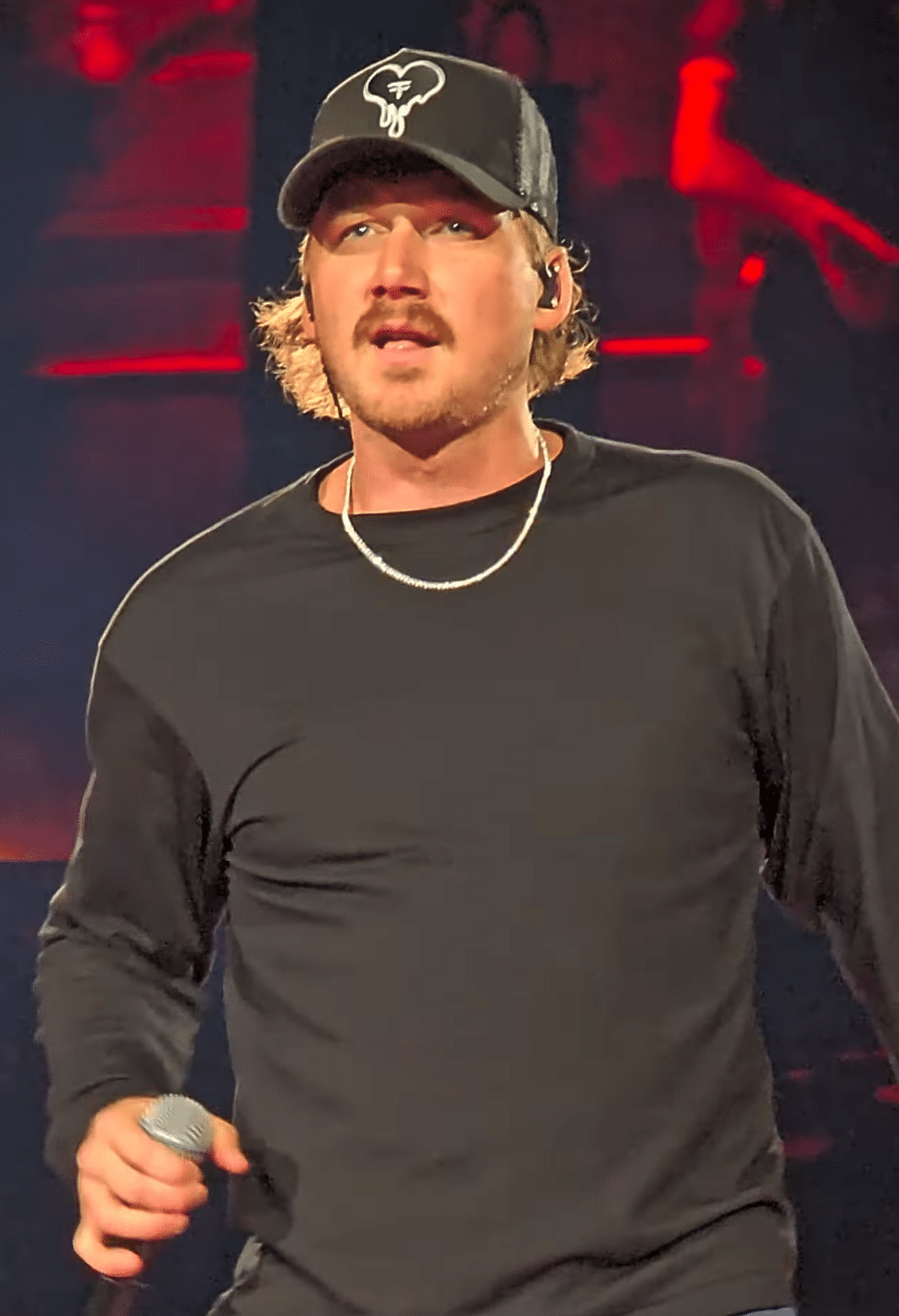 Morgan Wallen Tour Revenue: - Morgan Wallen Tour Revenue: How Much They Made