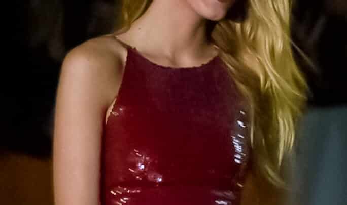 Blake Lively’s Lifestyle Brand: Preserve and Beyond