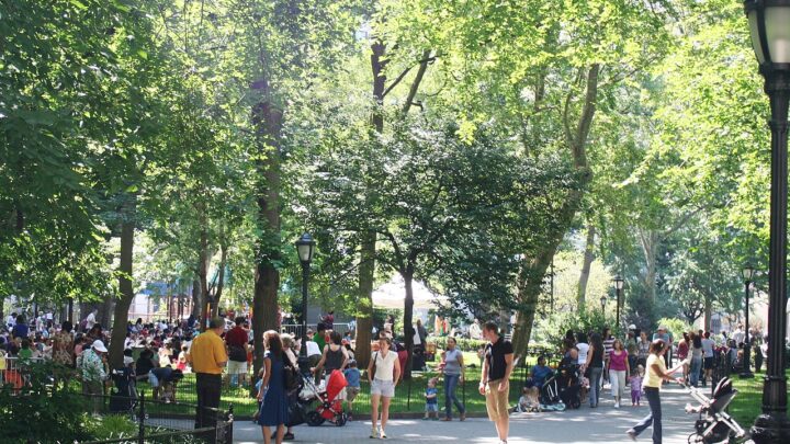 Summer Madison Filmography: Movies & TV Shows List