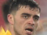 Pedri - CC BY 3.0