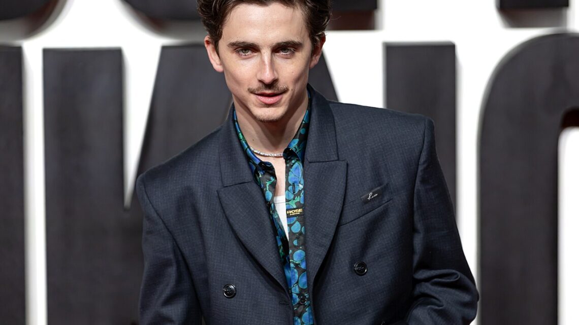 How Timothée Chalamet Became His Generation’s Defining Actor