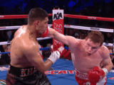 Canelo Alvarez - cc by 3.0