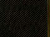 Blake Shelton - Public domain