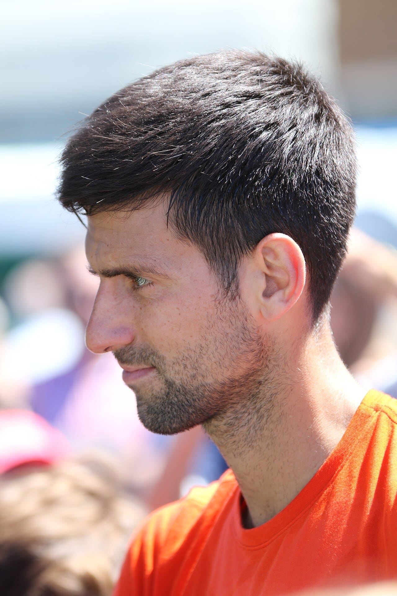 Novak Djokovic 2026 Financial Profile